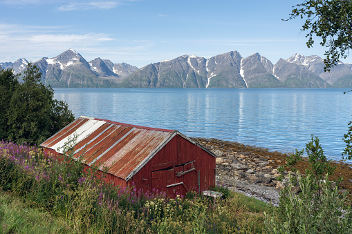 Old Wooden Fishing Barn by the sea on a beautiful and sunny summer day, Lyngen Alps, Norway