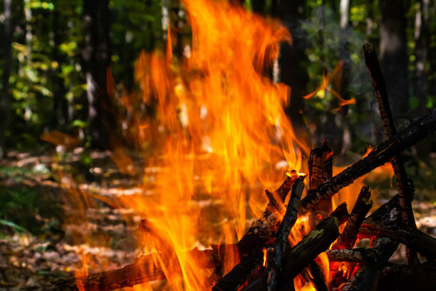 Flame of charcoal fire. Hearth for cooking and heating. Danger in forest.