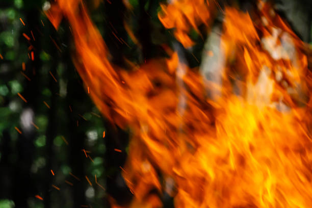 istock Flame of charcoal fire. Hearth for cooking and heating. Danger in forest 1794541873