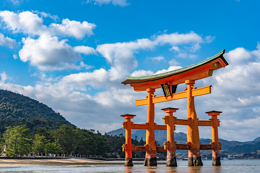 Floating red giant Grand O-Torii gate stands in Miyajima island bay beach at low tide on sunny day. Itsukushima Shrine, Hiroshima City. Hiroshima Prefecture, Japan