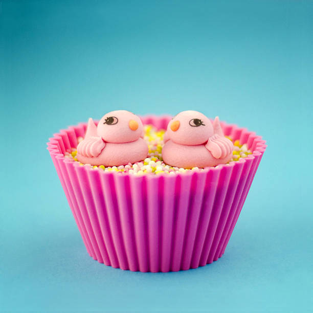 istock Couple of sugar bird on cupcake 179454961