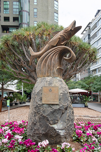 Santa Cruz de Tenerife, Tenerife, Canary Islands, Spain - March 19, 2022: The Chicharro, a bronze sculpture representing a horse mackerel on a wave, a symbol that gave the locals the name chicharreros.