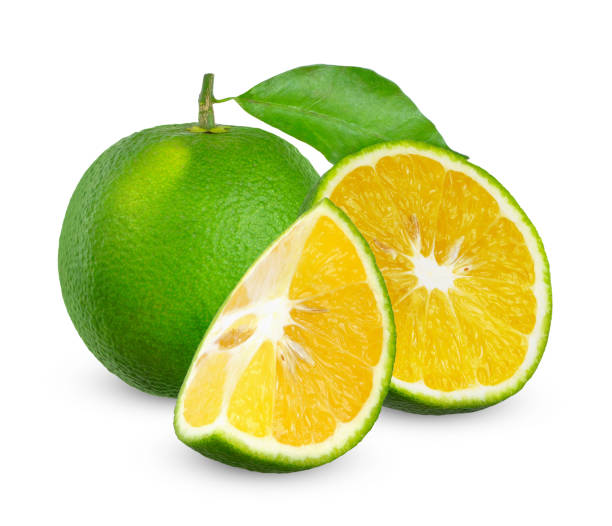 istock Acidless with sliced orange isolated on white background. 1794604041