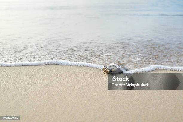 Foto de Seascape Pedras Em Areia E Mar e mais fotos de stock de Areia - Areia, Beleza, Branco