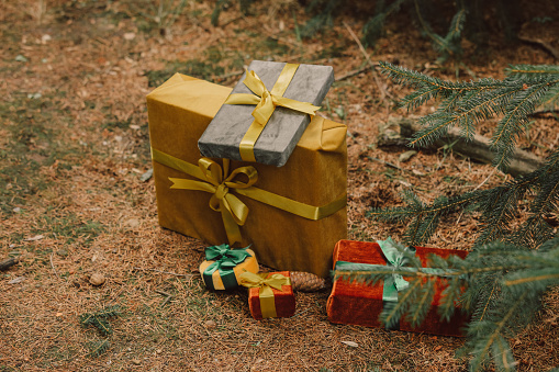 Stylish wrapped gift boxes near spruce tree
