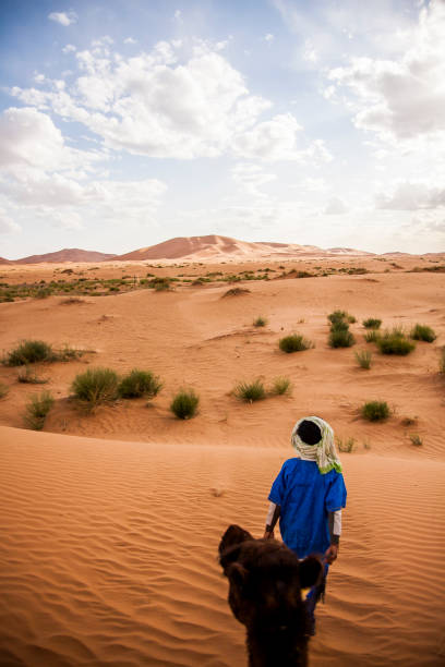 istock Camels and dunes in the Sahara desert, Morocco 1794643711