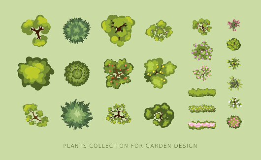 Set of vector illustrations of trees and bushes, graphic elements for landscape design or plot plan.