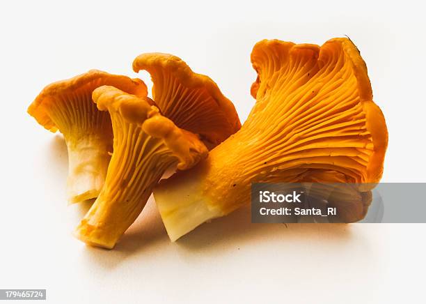 Hongo Chanterelle Foto de stock y más banco de imágenes de Cantharellus - Cantharellus, Alimento, Celebración - Ocasión especial