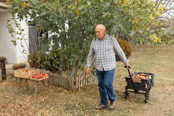 istock Enjoying autumn fruitage 1794673951