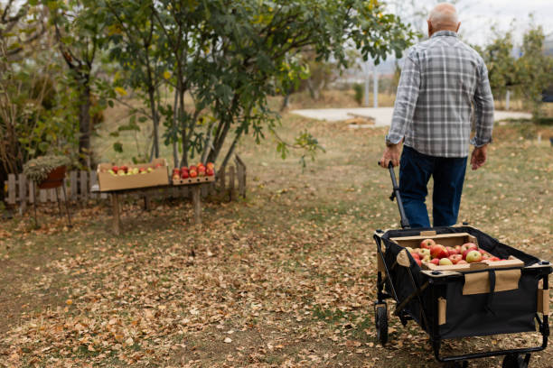 istock Enjoying autumn fruitage 1794673970