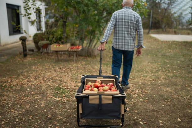 istock Enjoying autumn fruitage 1794680367