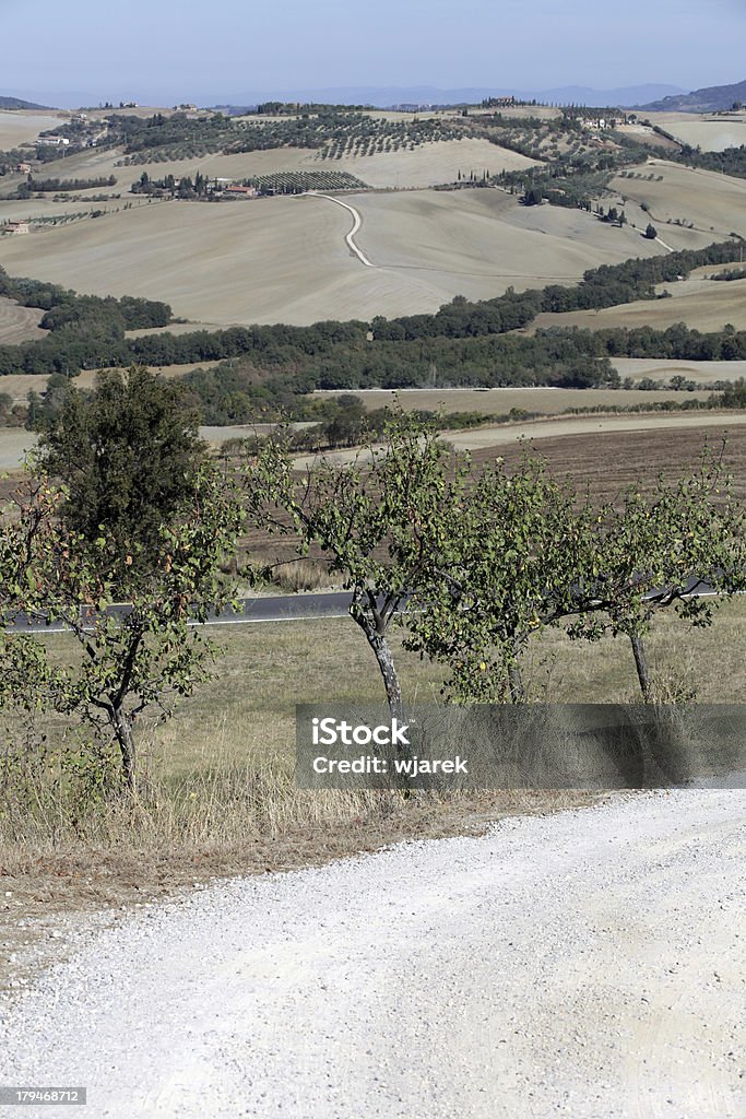 Die Hügel um Pienza und Monticchiello - Lizenzfrei Anhöhe Stock-Foto