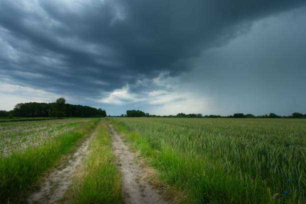 Cloudy sky over dirt road and green field