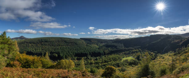 panorama avec la cascade de powerscourt, la vallée, les forêts aux couleurs de l’automne et le mont sugarloaf, wicklow, irlande - sugarloaf mountain flash photos et images de collection
