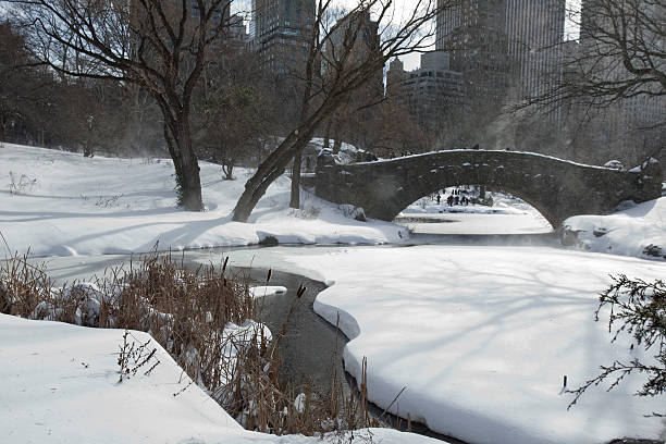 istock Central Park, New York. 179471140