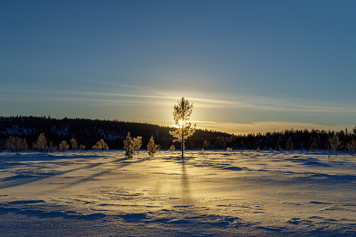 Sunset on a winter evening in Finnish Lapland