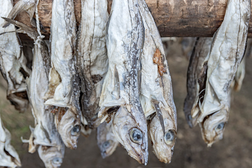 TAI O, HONG KONG - Salted fish are a favourite Hong Kong delicacy. Here, bunches of hanging fish dry in the sun at Tai O fishing village, Lantau Island.