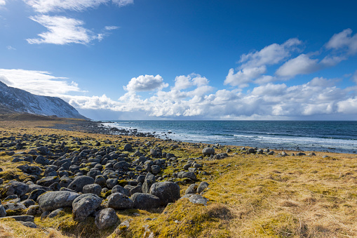 coastal winter landscape on the Lofoten Islands; Lofoten, Norway