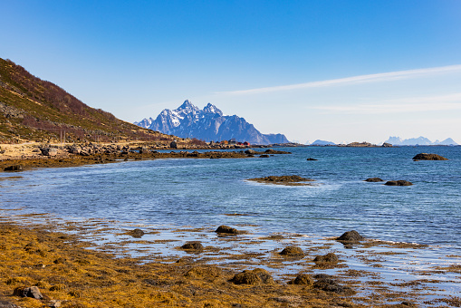 coastal landscape on the Lofoten Islands; Lofoten, Norway