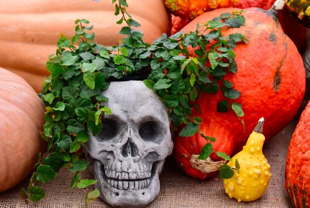 Skull flower pot with green vine and pumpkins