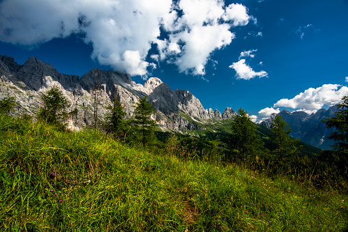 Dolomite mountains and Alps peaks with green meadows and rock spiers among woods and alpine pastures at an alpine hut in Gossaldo Belluno in the Belluno Dolomites Vicenza Veneto Italy