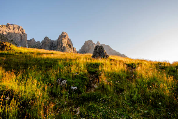 Dolomite mountains and Alps peaks with green meadows and rock spiers among woods and alpine pastures at an alpine hut in Gossaldo Belluno in the Belluno Dolomites Vicenza Veneto Italy