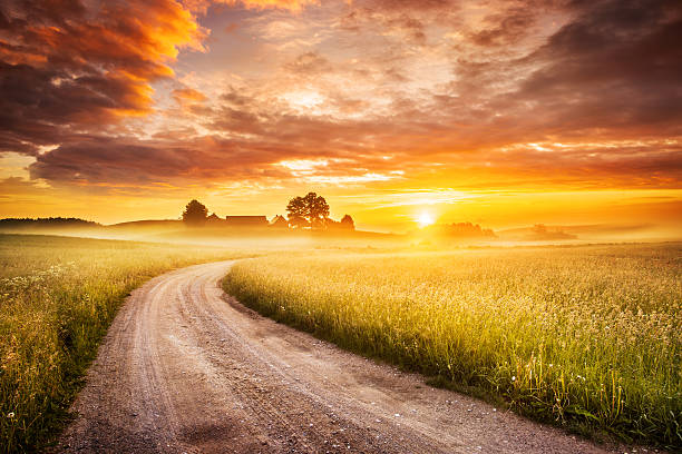 matin route de campagne à travers le paysage coloré du lever du soleil à foggy bottom - country road photos et images de collection