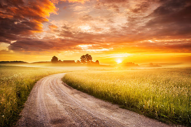 manhã estrada do país através da paisagem de nascer do sol colorido com nevoeiroweather forecast - golden wheat imagens e fotografias de stock