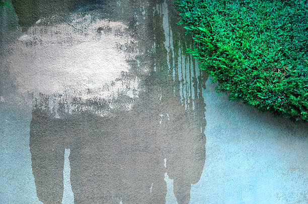 istock Artistic Creative Natural and Concrete Background 179474215