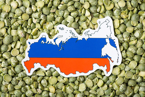 Concept of origin of pea grain, harvest of pea in Russia