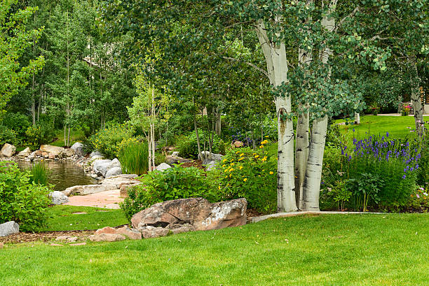 istock Outdoor Nature Background Garden 179474995