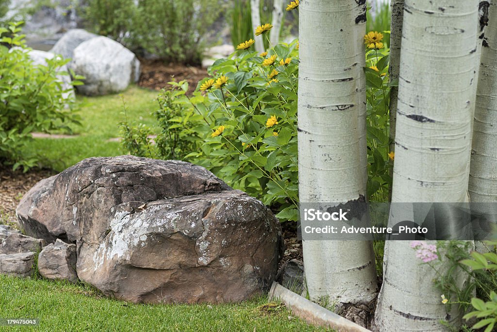 야외 네이쳐향 배경기술 정원 - 로열티 프리 0명 스톡 사진
