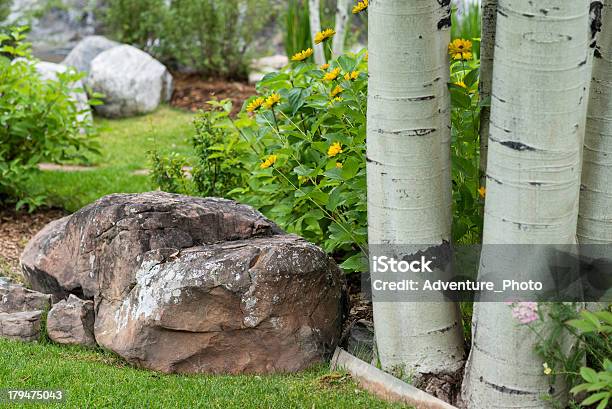 야외 네이쳐향 배경기술 정원 0명에 대한 스톡 사진 및 기타 이미지 - 0명, 경관, 나무