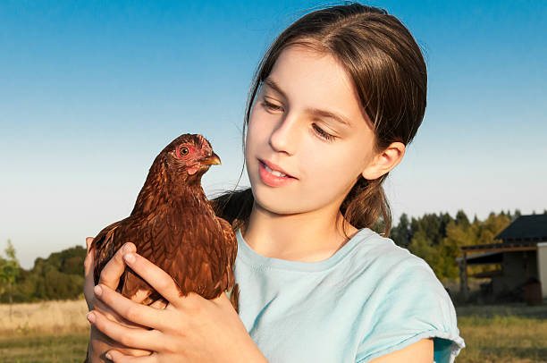 istock Girl Holding Hen 179475367