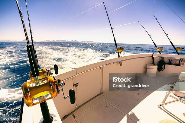 フィッシングリール - 大物釣りをするのストックフォトや画像を多数ご用意 - 大物釣りをする, スポーツ, ハワイ諸島