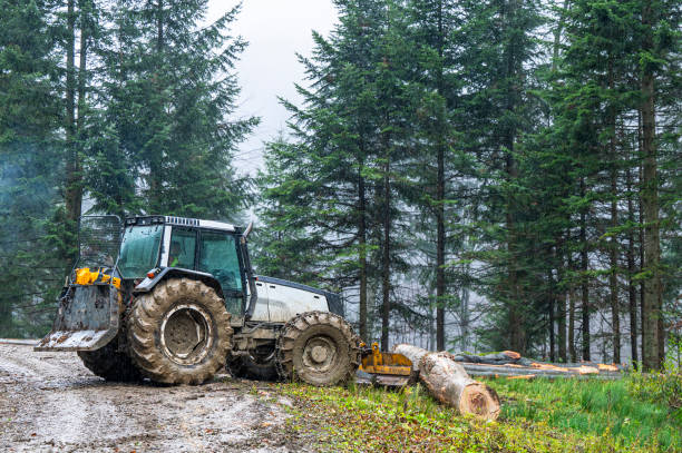 istock A specialized forest tractor working with logging in the rain in the Carpathians, Poland. 1794759397