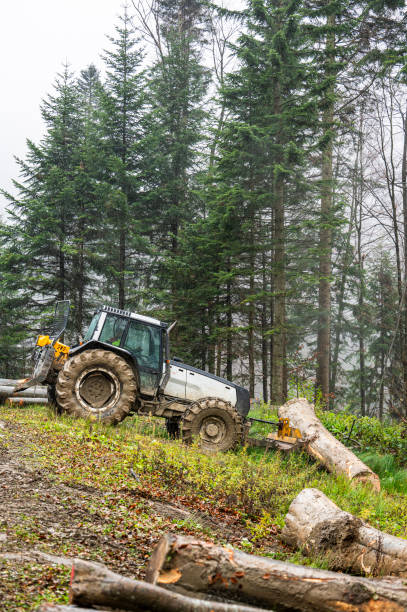 istock A specialized forest tractor working with logging in the rain in the Carpathians, Poland. 1794763742