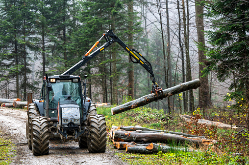 A specialized forest tractor working with logging in the rain in the Carpathians, Poland.