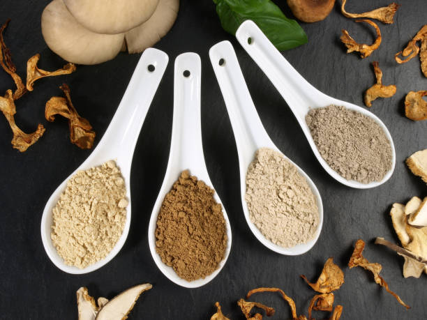 Medicinal Mushroom Powder - Healthy Nutrition