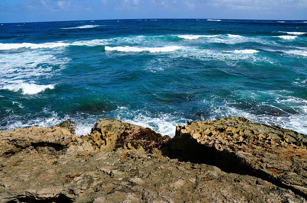 istock Rocky Coastal at Bottom Bay 179478142