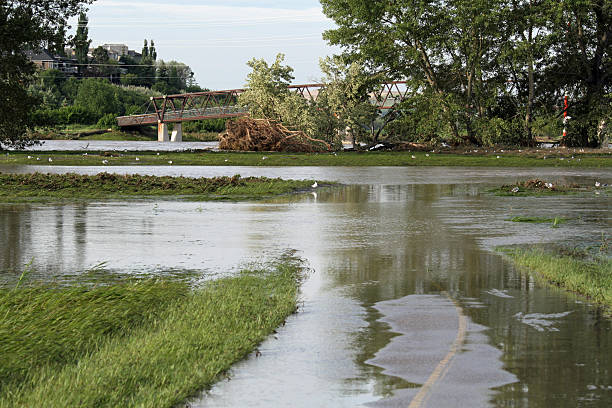 sendero para bicicletas en difusión - calgary bridge flood alberta fotografías e imágenes de stock