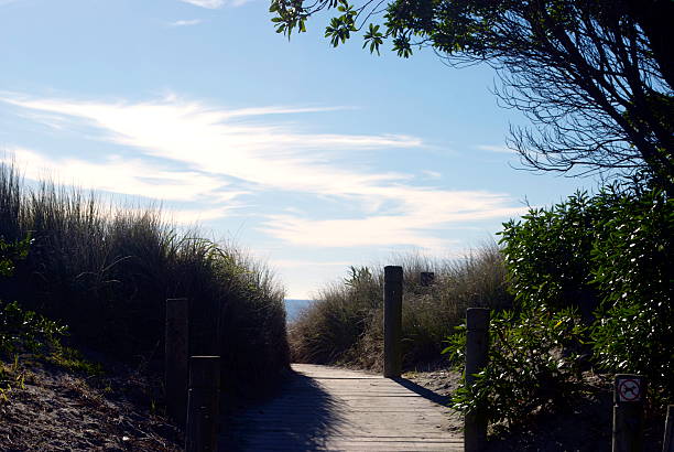 Boardwalk to the Beach, Tahunanui,NZ