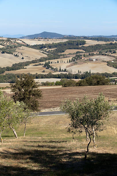 istock The hills around Pienza and Monticchiello 179479466