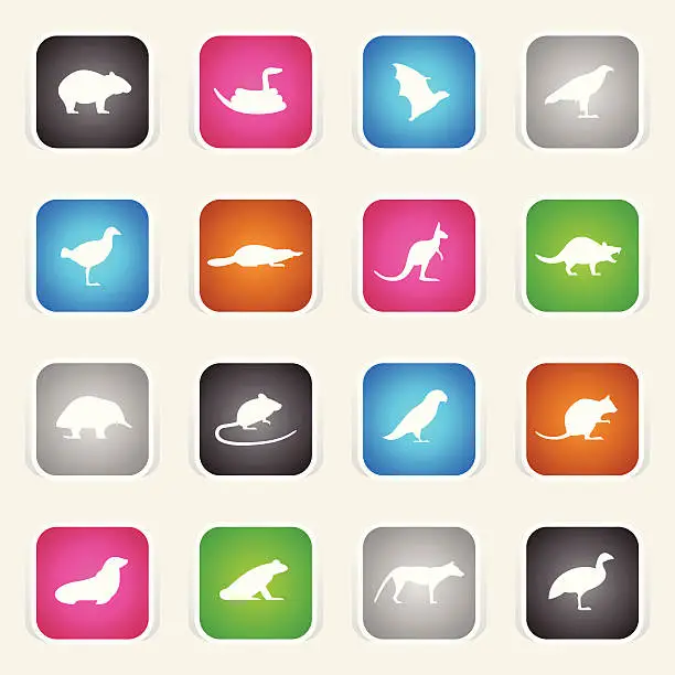 Vector illustration of Multicolor Icons - Tasmanian Animals