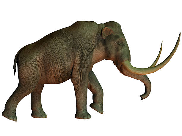 istock Columbian mammoth on White 179479591