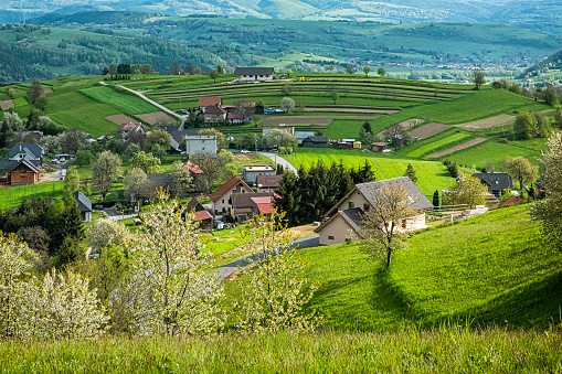 Historic agrarian landscape, Hrinovske lazy, Slovak republic. Travel destination. Seasonal natural scene.