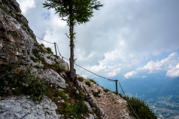 summer view of Mount Ortigara with blue sky and First World War fortifications on the Asiago plateau Vicenza Veneto Italy