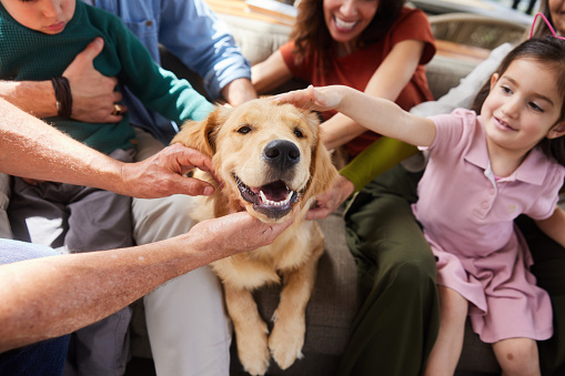 Smiling multi-generation family petting their golden retriever while sitting on a sofa in their living room at home