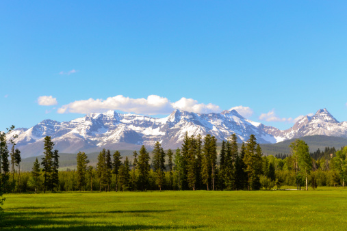 This meadow is on the out-skirts of Glacier National Park.  This is early June and the roads have just cleared for the season