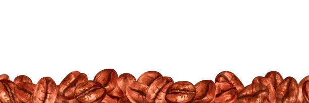 ilustrações, clipart, desenhos animados e ícones de borda sem costura dos grãos de café. variedades aromáticas de robusta e arábica. dia do café. ilustração do marcador em estilo aquarela. ilustração orgânica para café, menu de restaurante. - backgrounds bean drink caffeine